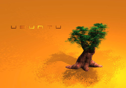 Lone Ubuntu Tree