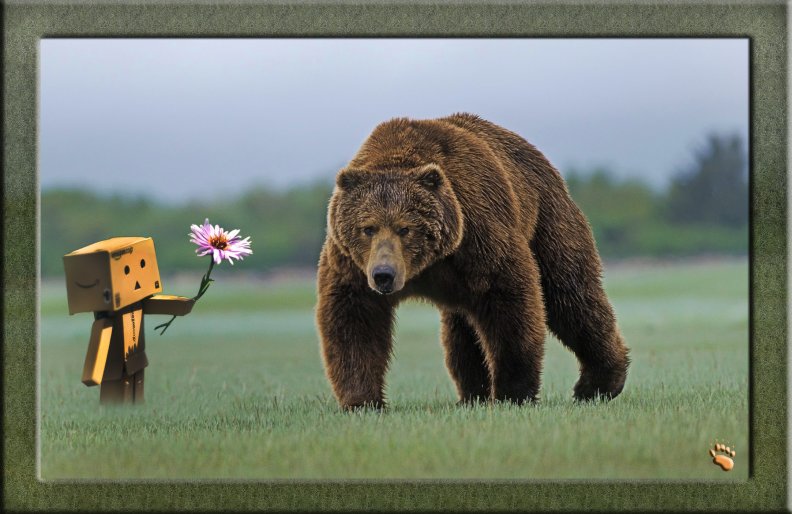 Danbo &amp; Grizzly