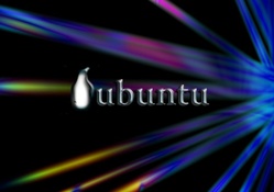 Fusion of Colour _ Ubuntu Penguin