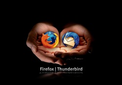 Firefox Thunderbird in Hand