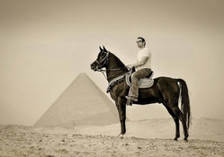 Egypt horse(rider)