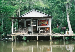 Interesting Swamp Houses