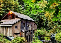 grist mill in the forest