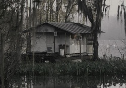 Interesting Swamp House
