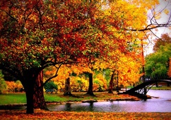 bridge on a pond in an autumn park