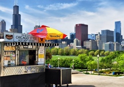 hot dog cart in a chicago park