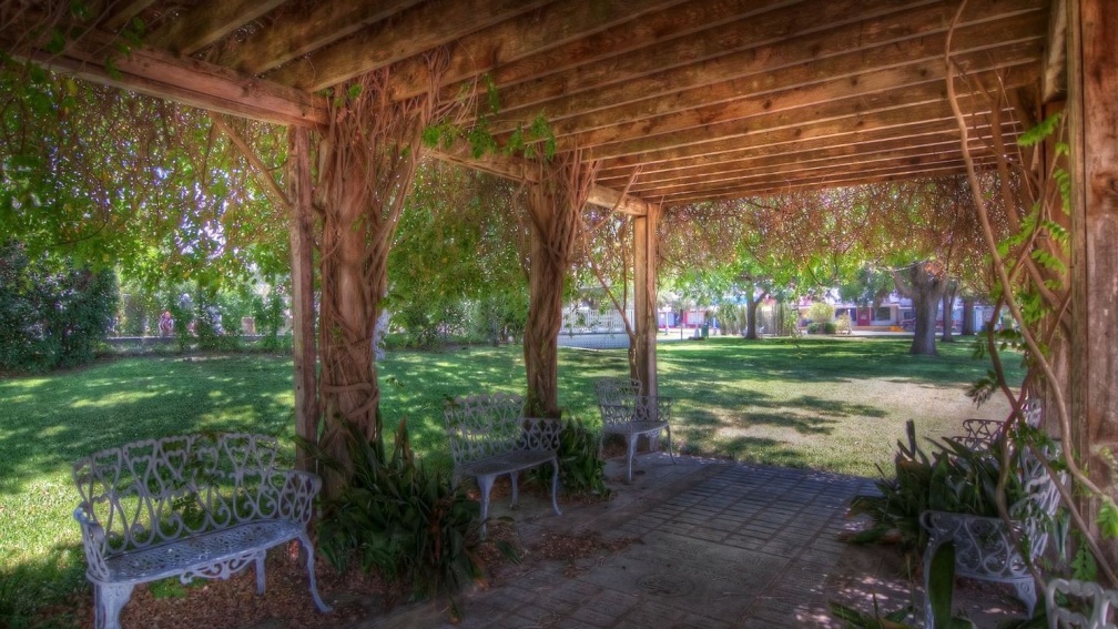 vine covered arbor in a park hdr