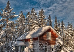 gorgeous wooden forest home in winter hdr