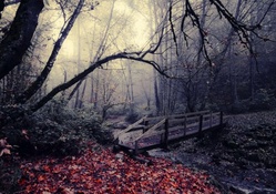 bridge over a creek on a gloomy autumn day