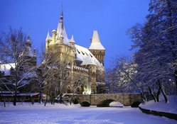 Castle in Winter