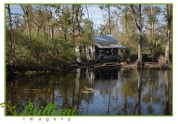 Small house on a bayou