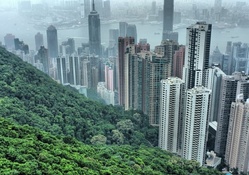 hong kong skyscrapers by a forested mountain hdr