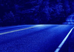 road under moonlight