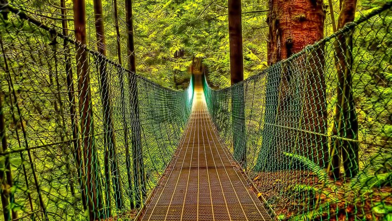 amazing_hanging_forest_bridge_hdr.jpg