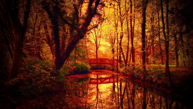 fantastic_autumn_colors_on_bridge_over_a_forest_creek.jpg