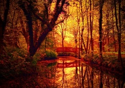 fantastic autumn colors on bridge over a forest creek
