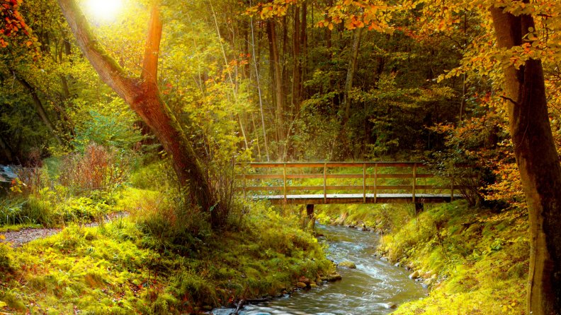 bridge over a lovely stream in autumn