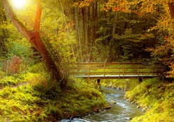 bridge over a lovely stream in autumn