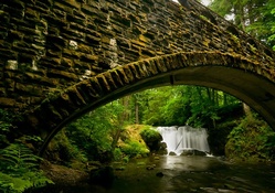 waterfall by a stone bridge in the forest