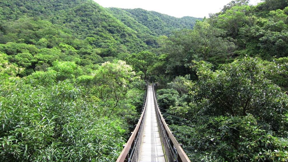 Suspension bridge in the mountain