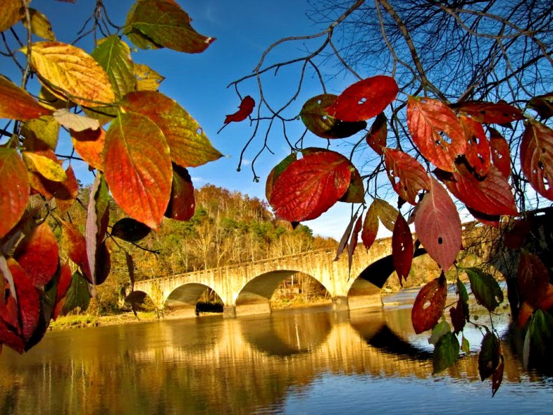 autumn_colors_at_cumberland_falls_bridge.jpg
