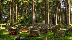 serene cemetery
