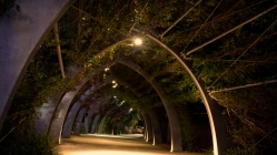 tunnel made out of climbing vines