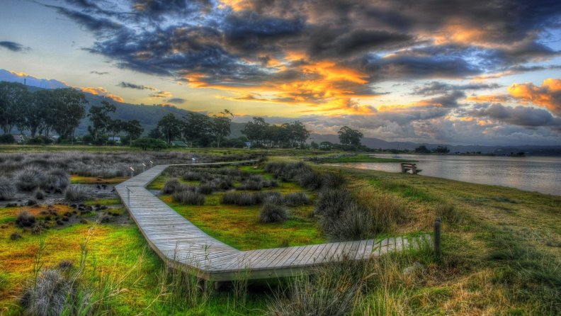 wooden foot path in wetlands hdr