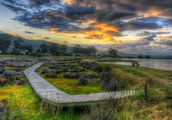 wooden foot path in wetlands hdr