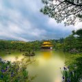 the golden pavilion temple in kyoto japan