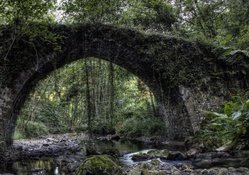ivy covered old arched stone bridge