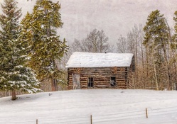 abandoned log cabin in winter