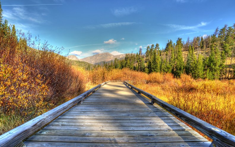 wooden footpath in nature hdr