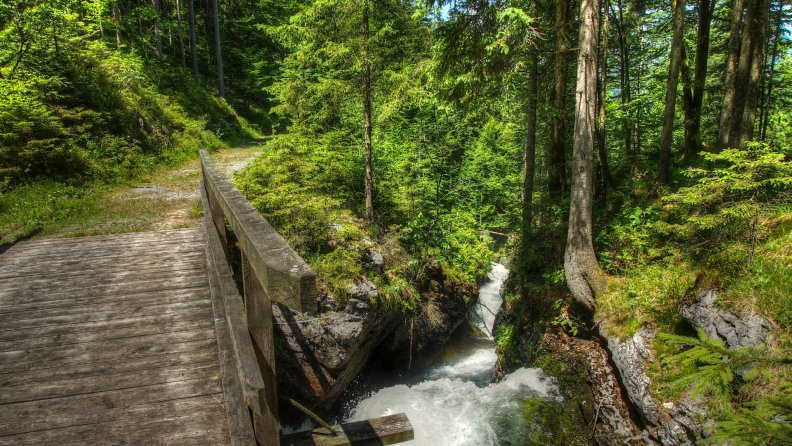 wooden_forest_bridge_over_mountain_stream.jpg