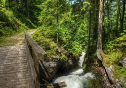 wooden forest bridge over mountain stream