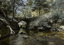 ancient little stone bridge