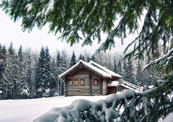 lovely log home in winter
