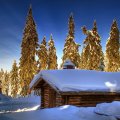 lovely log cabin in winter