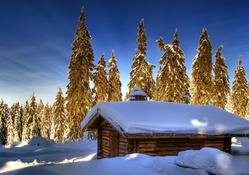 lovely log cabin in winter