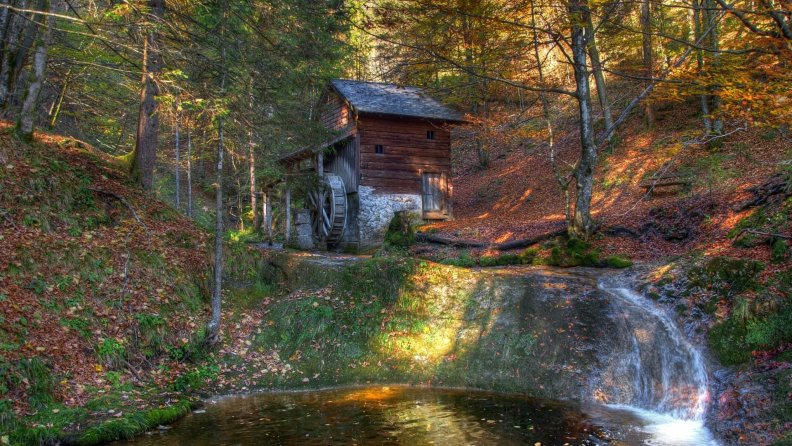 old_mill_in_the_forest.jpg