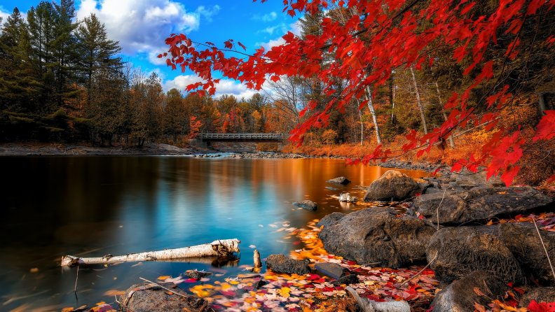 wooden_bridge_on_a_beautiful_autumn_river.jpg