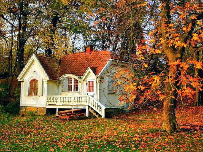 beautiful_small_forest_house.jpg