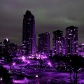 Purple City Lights