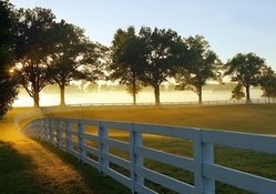 morning on a horse farm