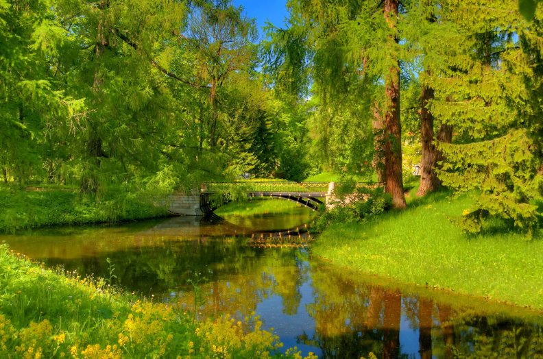 A bridge among greenery