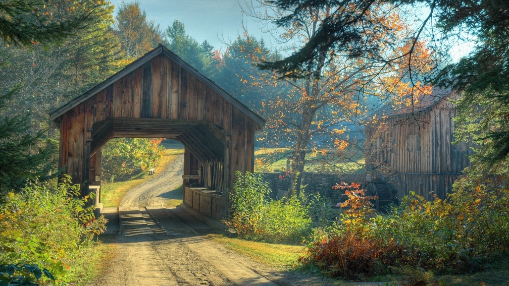 beautiful tiny wooden bridge