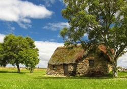 THE LONELY COTTAGE