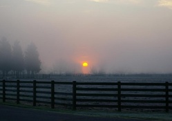 horse ranch in evening fog