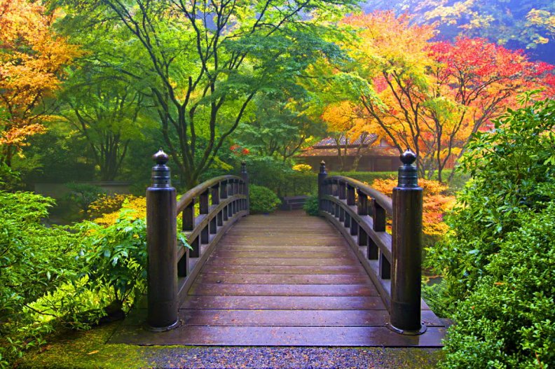 wooden_bridge.jpg