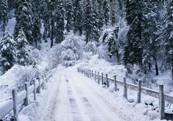 fantastic snowy bridge